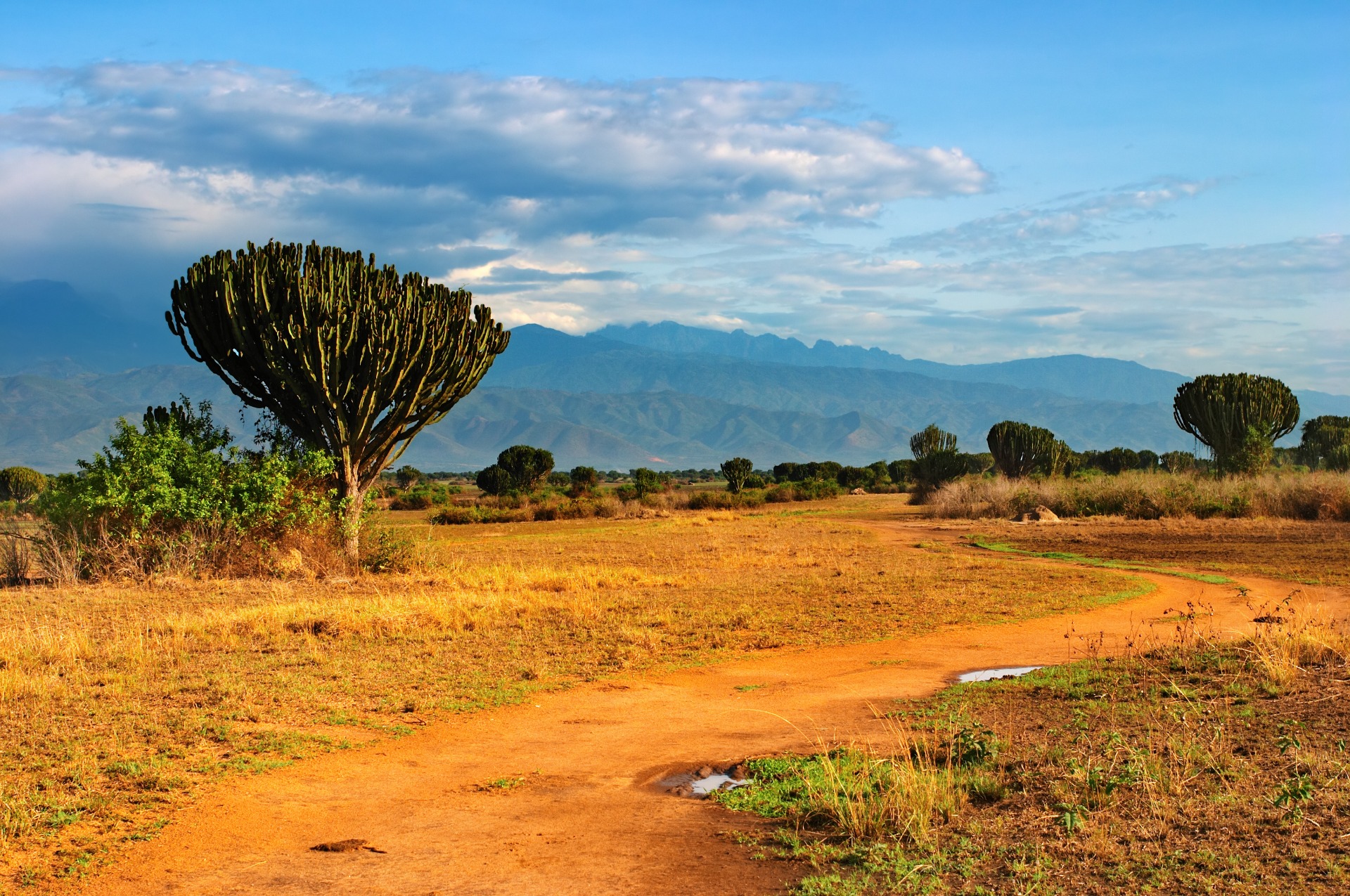 Buyone bUildone Uganda